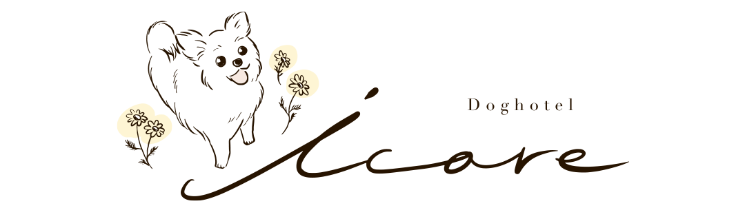 Doghotel icore